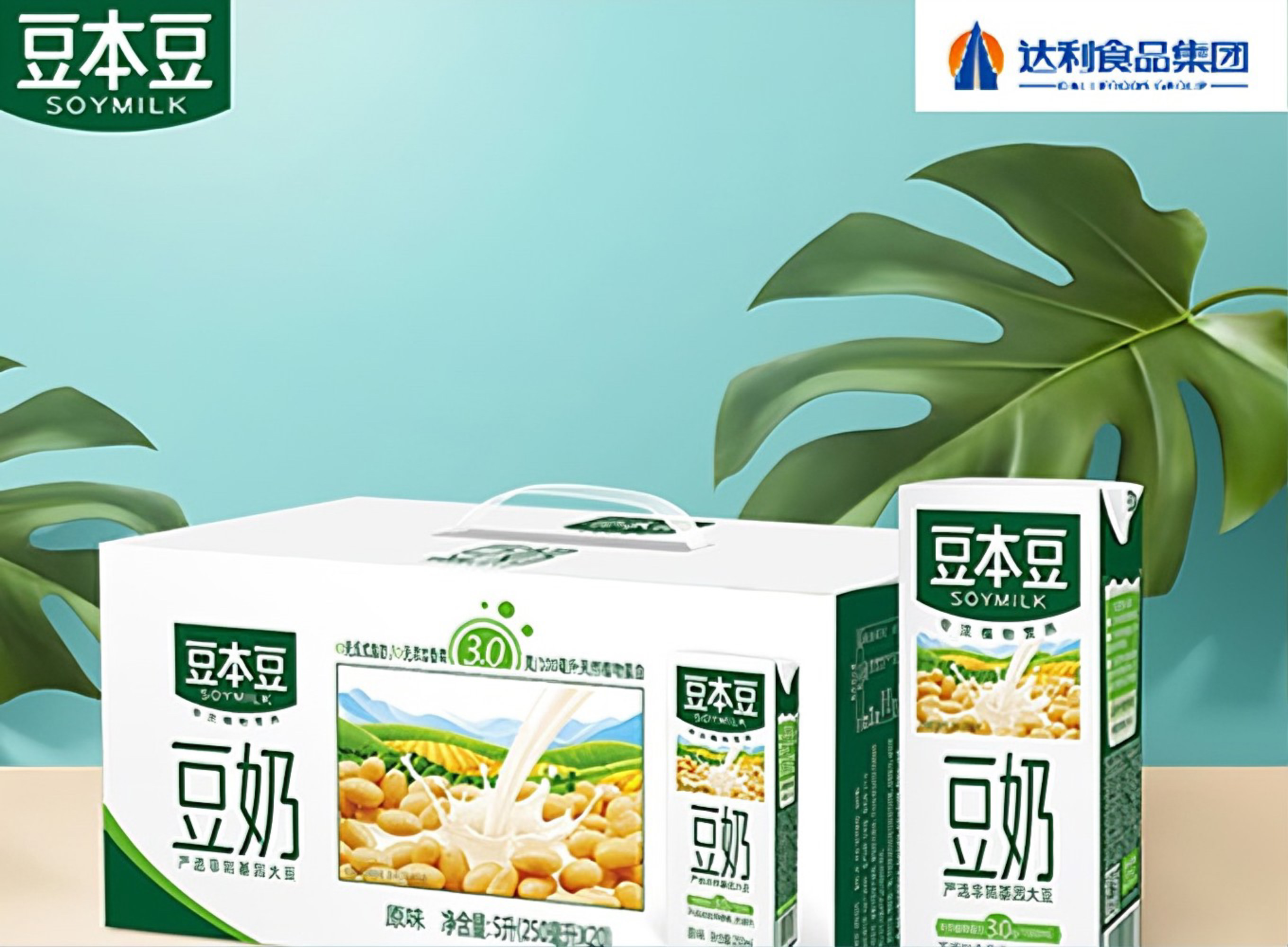 豆本豆