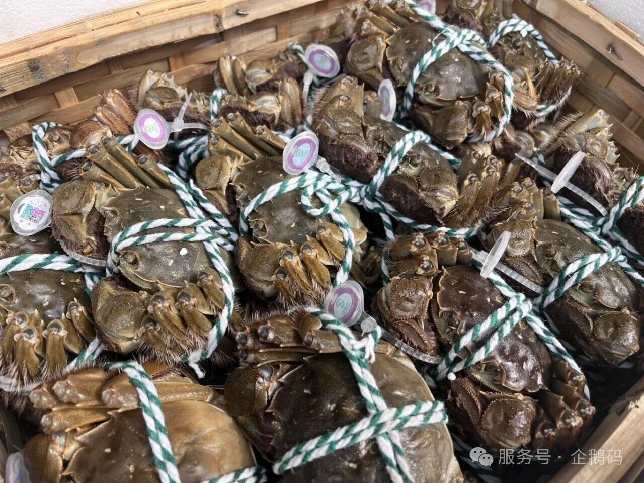 微信图片_2026-06-05_095614_610.jpg